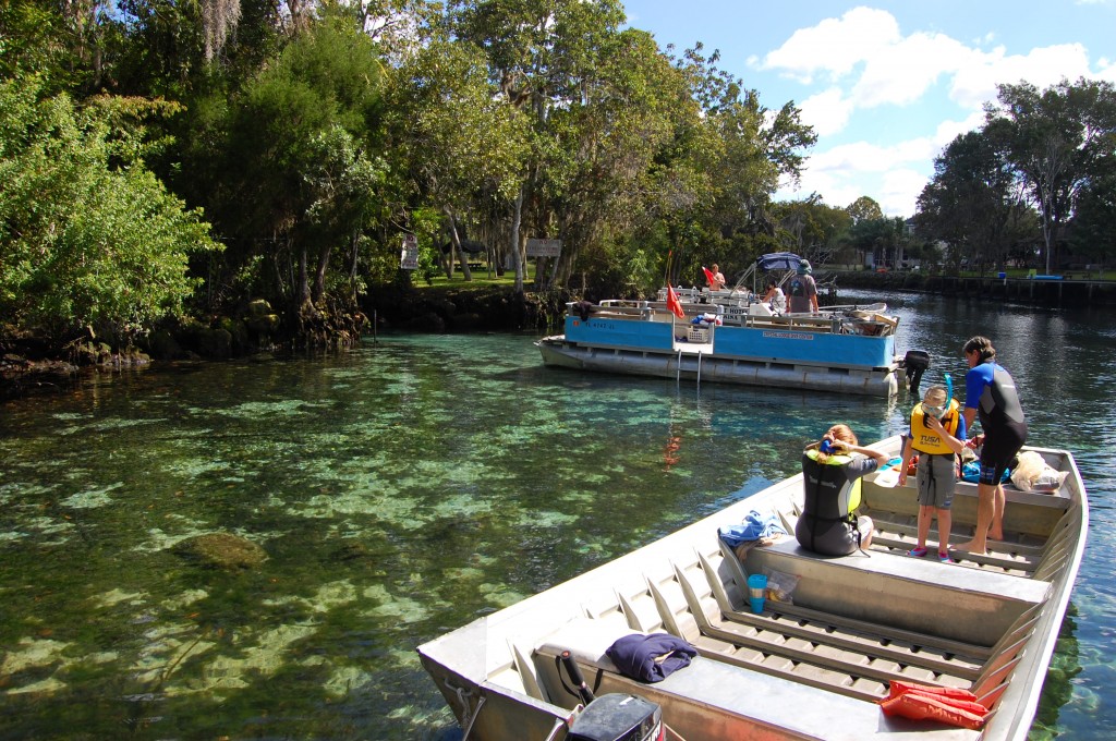 Crystal River, FL, location of the fresh-water spring in the background.